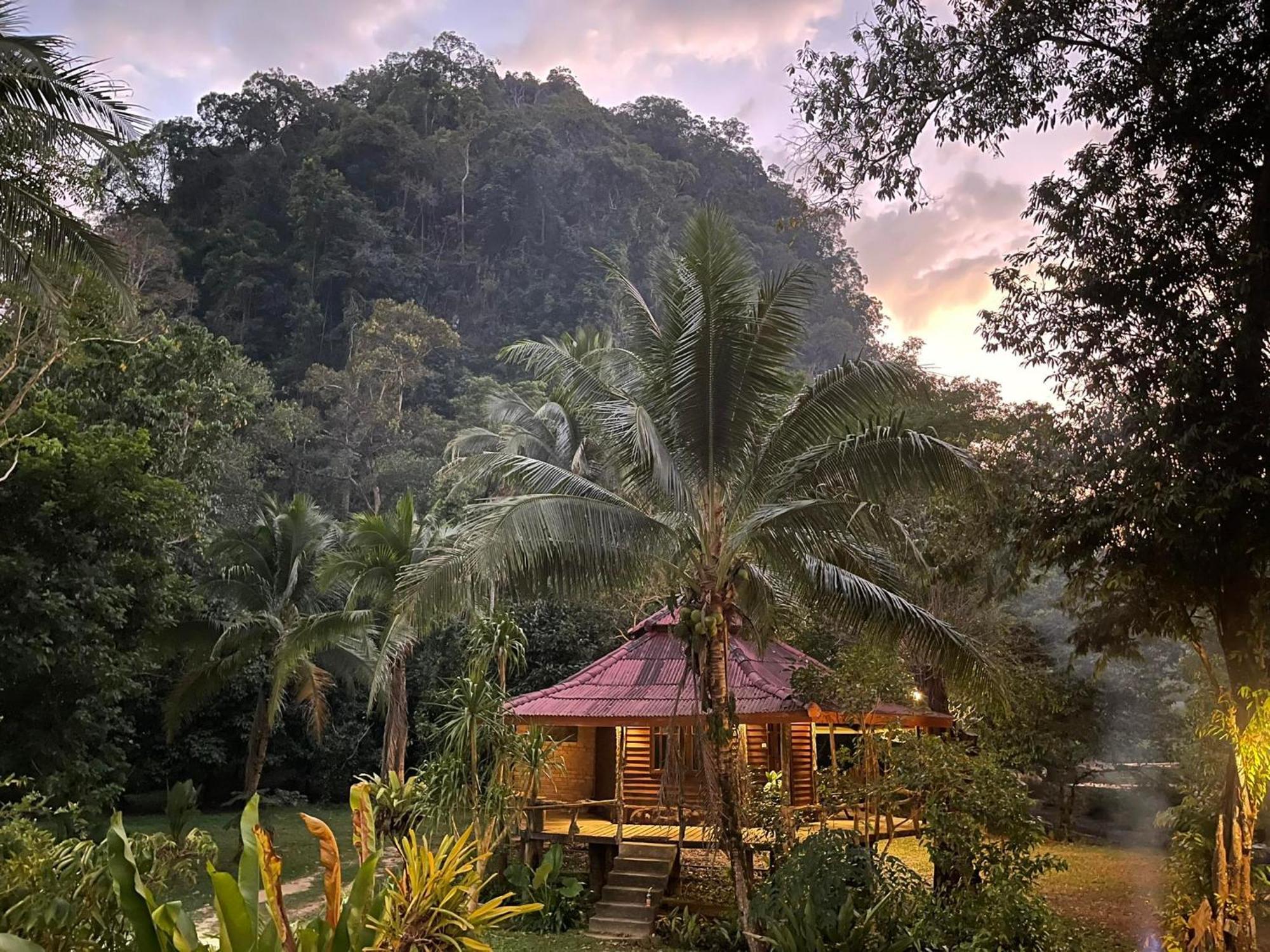 Khaosok Monkeys & River Camps Khao Sok National Park Exterior photo