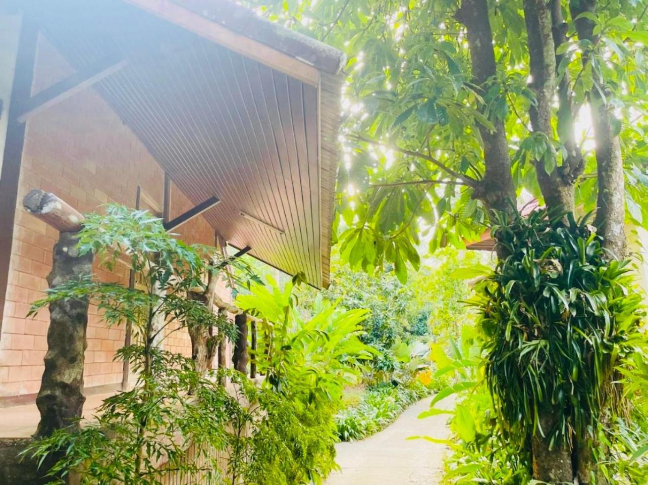Khaosok Monkeys & River Camps Khao Sok National Park Exterior photo